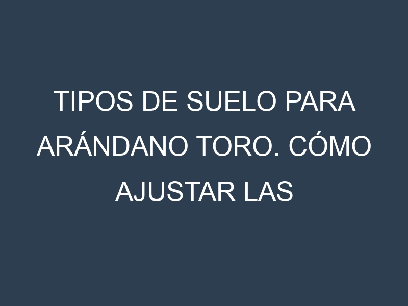 Tipos de suelo para Arándano Toro. Cómo ajustar las condiciones del suelo.