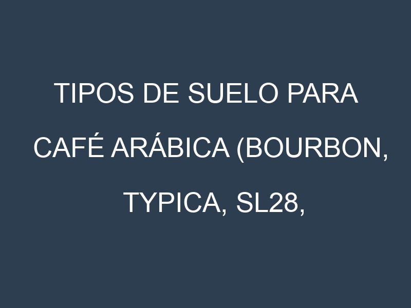Tipos de suelo para Café arábica (Bourbon, Typica, SL28, Gesha, Mundo Novo). Cómo ajustar las condiciones del suelo.