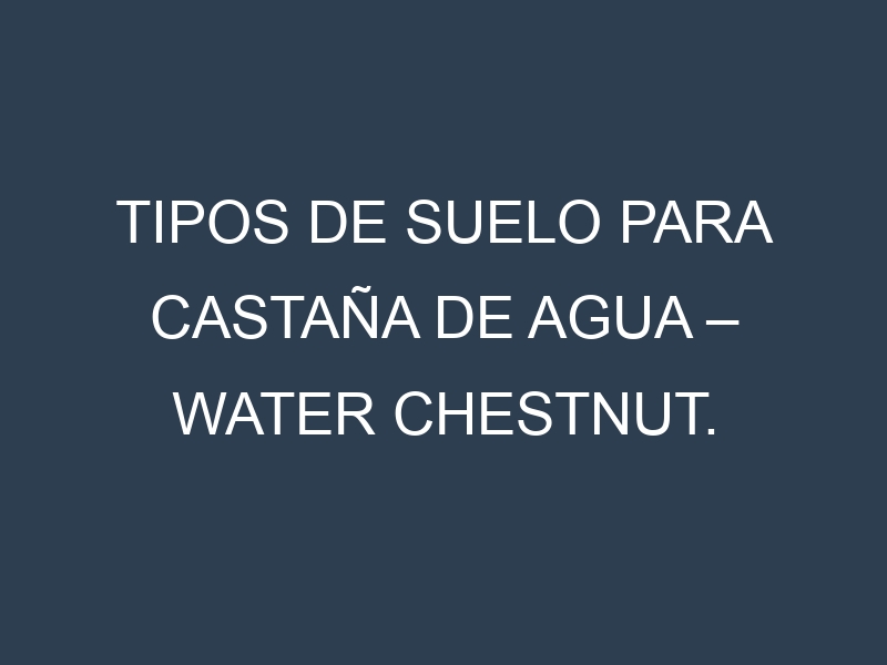 Tipos de suelo para Castaña de agua – Water chestnut. Cómo ajustar las condiciones del suelo.