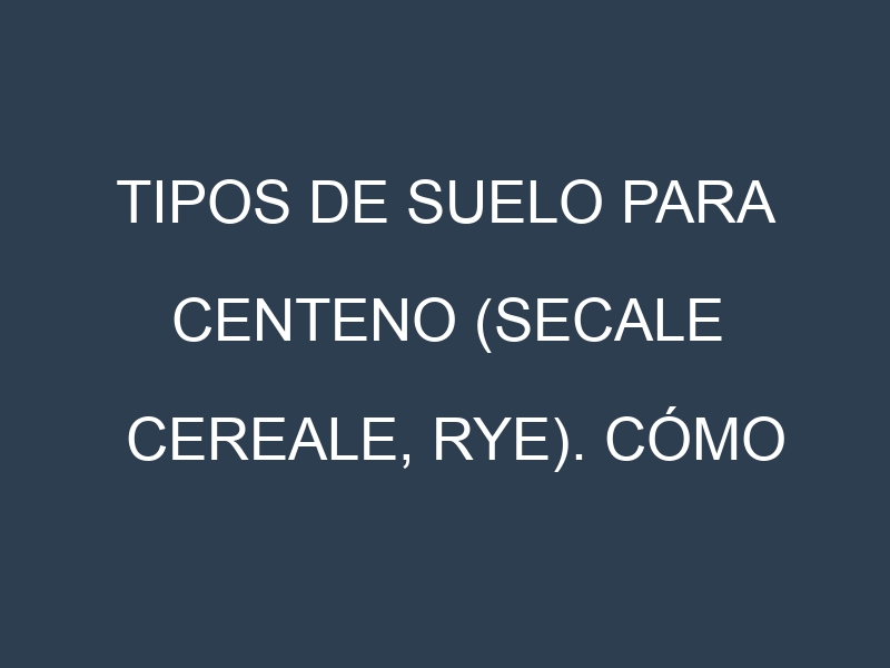Tipos de suelo para Centeno (Secale cereale, rye). Cómo ajustar las condiciones del suelo.