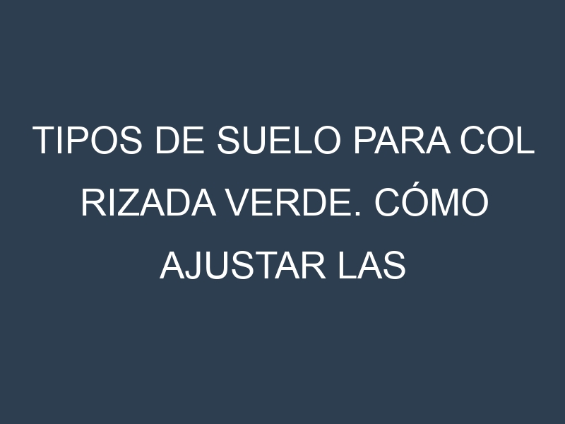 Tipos de suelo para Col rizada verde. Cómo ajustar las condiciones del suelo.