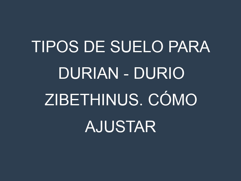 Tipos de suelo para Durian – Durio zibethinus. Cómo ajustar las condiciones del suelo.