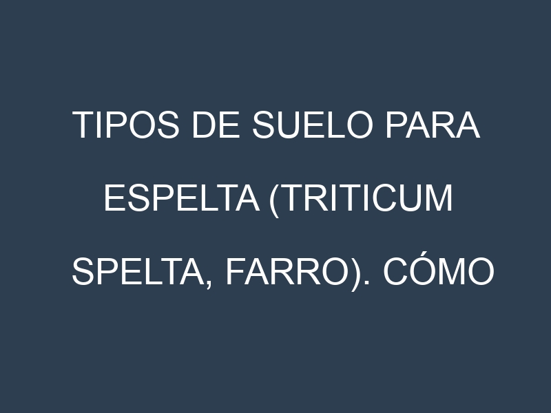 Tipos de suelo para Espelta (Triticum spelta, farro). Cómo ajustar las condiciones del suelo.