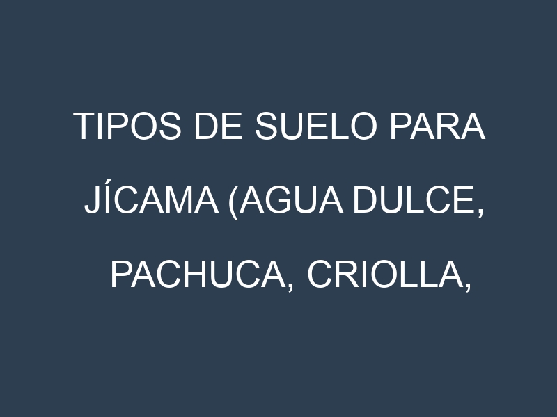 Tipos de suelo para Jícama (Agua Dulce, Pachuca, Criolla, Veracruz, Dulcita). Cómo ajustar las condiciones del suelo.