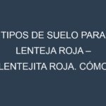 Tipos de suelo para Lenteja roja – Lentejita roja. Cómo ajustar las condiciones del suelo.