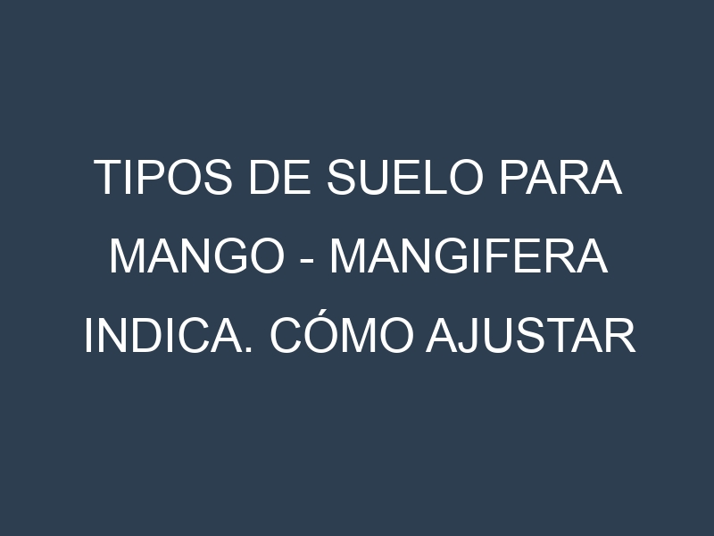Tipos de suelo para Mango – Mangifera indica. Cómo ajustar las condiciones del suelo.