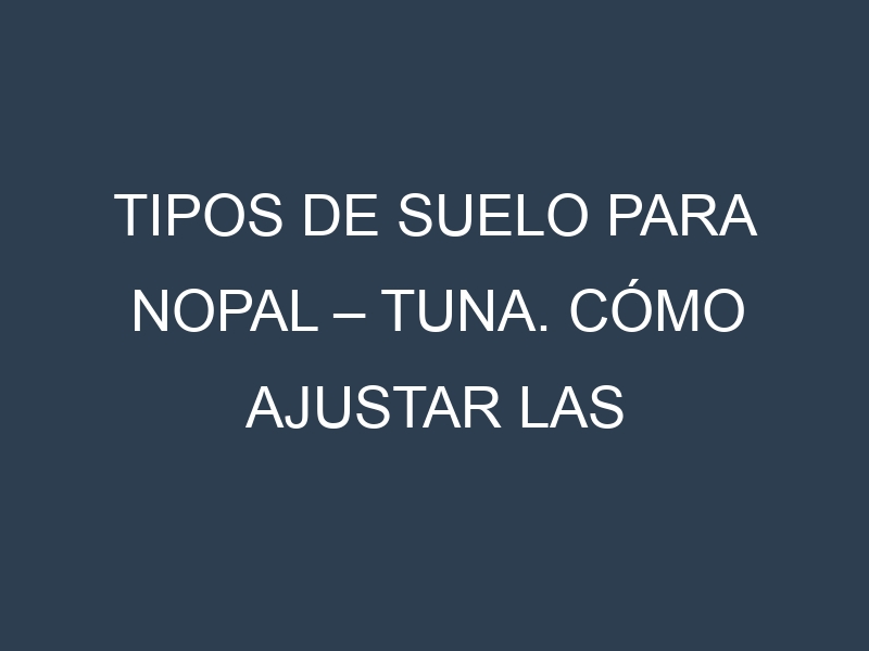 Tipos de suelo para Nopal – Tuna. Cómo ajustar las condiciones del suelo.