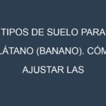Tipos de suelo para Plátano (banano). Cómo ajustar las condiciones del suelo.
