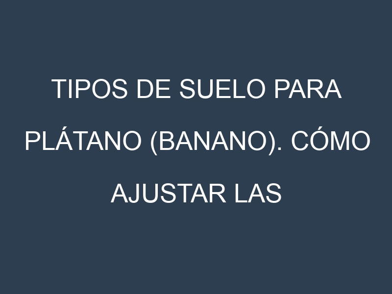 Tipos de suelo para Plátano (banano). Cómo ajustar las condiciones del suelo.