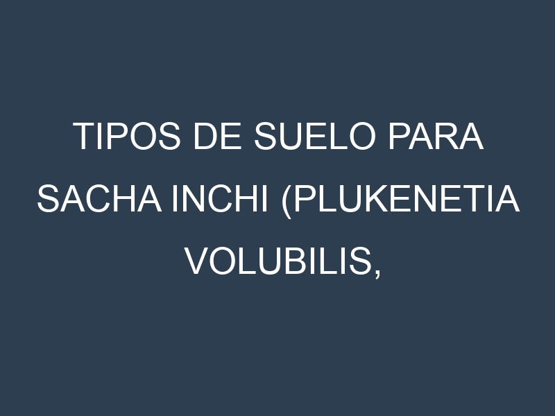 Tipos de suelo para Sacha inchi (Plukenetia volubilis, Jungle Peanut, Sacha Peanut, Inca Peanut, Mountain Peanut). Cómo ajustar las condiciones del suelo.