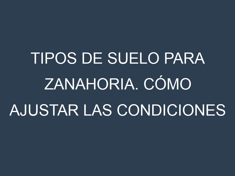 Tipos de suelo para Zanahoria. Cómo ajustar las condiciones del suelo.