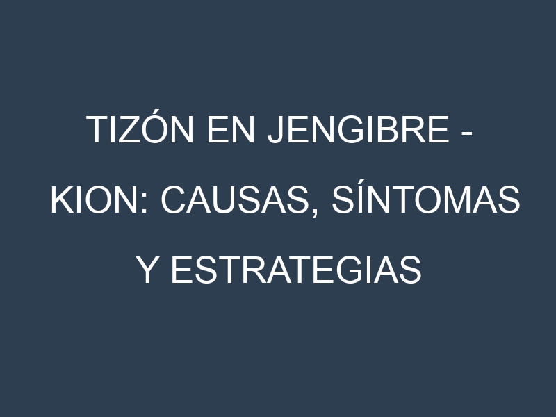 Tizón en Jengibre – Kion: Causas, Síntomas y Estrategias de Control en Cultivos
