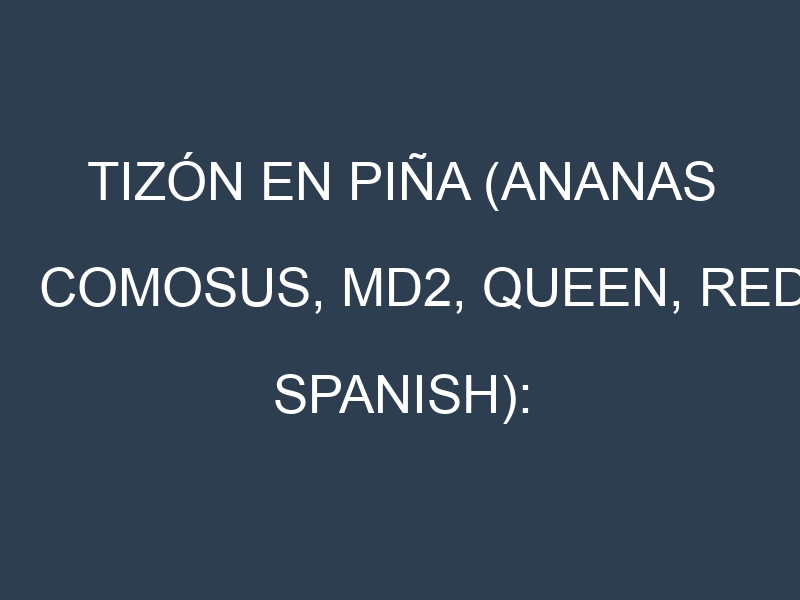 Tizón en Piña (Ananas comosus, MD2, Queen, Red Spanish): Causas, Síntomas y Estrategias de Control en Cultivos