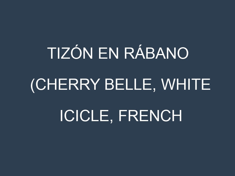 Tizón en Rábano (Cherry Belle, White Icicle, French Breakfast, Daikon): Causas, Síntomas y Estrategias de Control en Cultivos