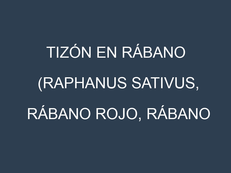 Tizón en Rábano (Raphanus sativus, Rábano rojo, Rábano blanco): Causas, Síntomas y Estrategias de Control en Cultivos