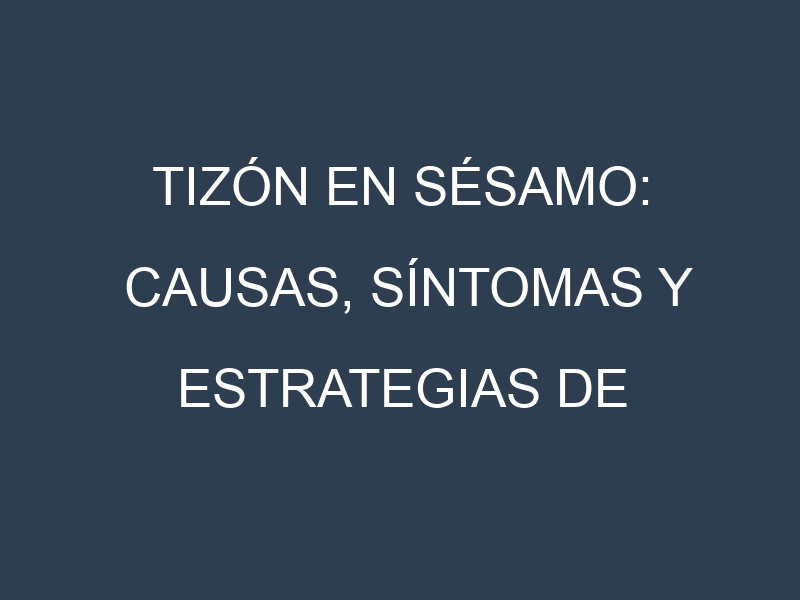 Tizón en Sésamo: Causas, Síntomas y Estrategias de Control en Cultivos