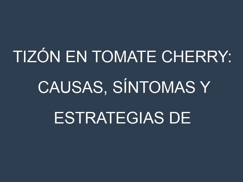Tizón en Tomate cherry: Causas, Síntomas y Estrategias de Control en Cultivos