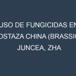 Uso de Fungicidas en Mostaza china (Brassica juncea, Zha cai, Gai choy, Southern Giant Curled): Todo lo que Necesitas Saber