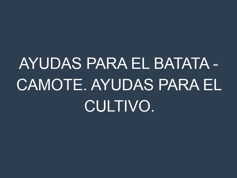 Ayudas para el Batata – Camote. Ayudas para el cultivo. Subvenciones.