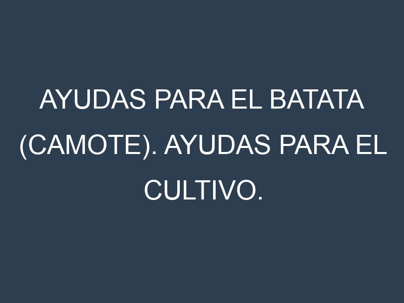 Ayudas para el Batata (camote). Ayudas para el cultivo. Subvenciones.