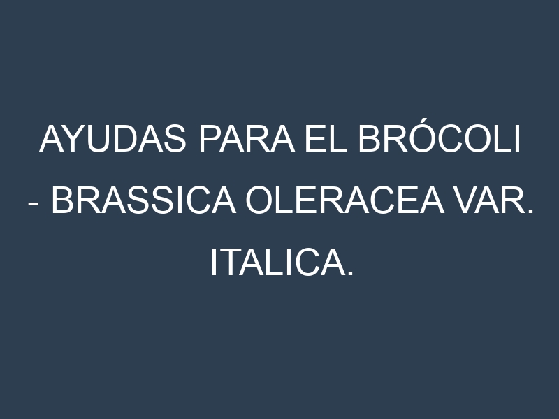 Ayudas para el Brócoli – Brassica oleracea var. italica. Ayudas para el cultivo. Subvenciones.