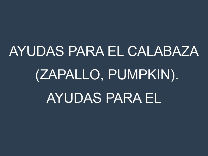 Ayudas para el Calabaza (Zapallo, pumpkin). Ayudas para el cultivo. Subvenciones.