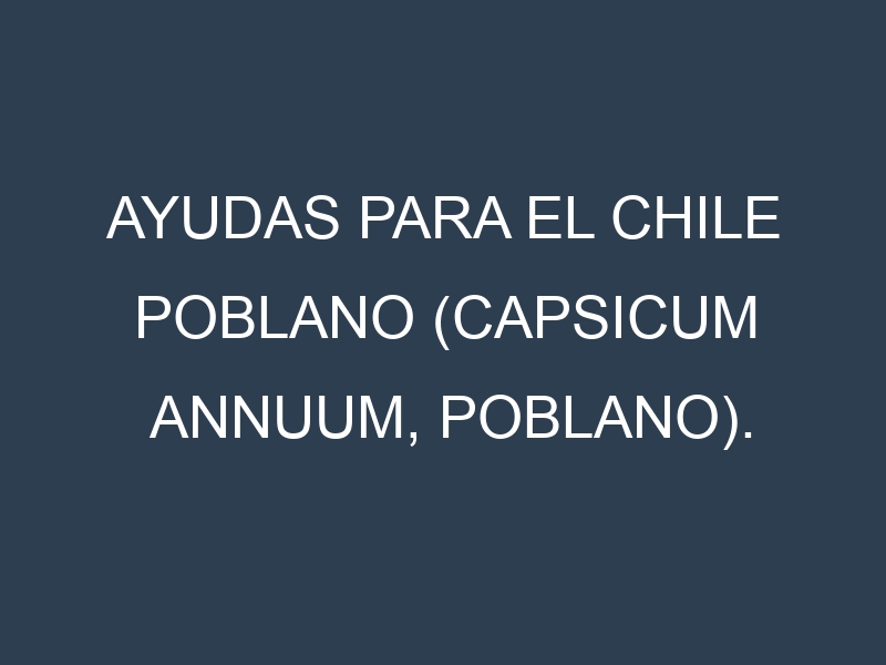 Ayudas para el Chile poblano (Capsicum annuum, poblano). Ayudas para el cultivo. Subvenciones.