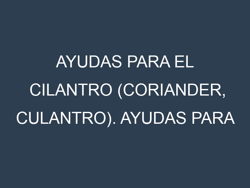 Ayudas para el Cilantro (Coriander, culantro). Ayudas para el cultivo. Subvenciones.
