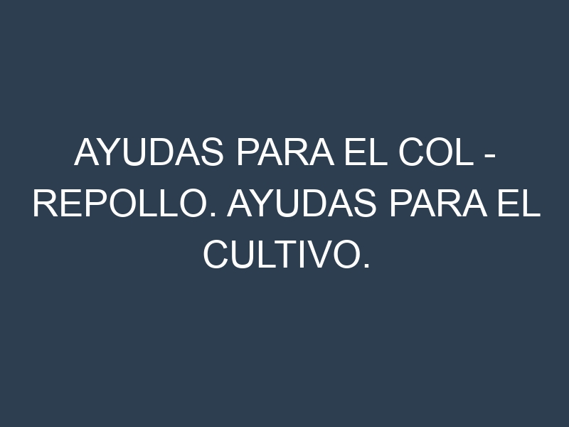 Ayudas para el Col – Repollo. Ayudas para el cultivo. Subvenciones.