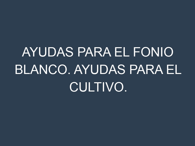 Ayudas para el Fonio blanco. Ayudas para el cultivo. Subvenciones.
