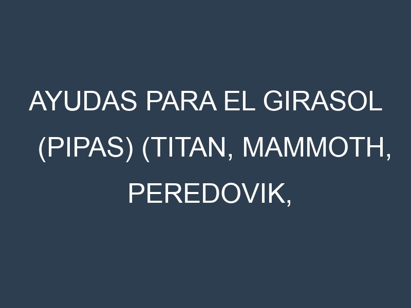 Ayudas para el Girasol (pipas) (Titan, Mammoth, Peredovik, Dwarf, Autumn Beauty). Ayudas para el cultivo. Subvenciones.