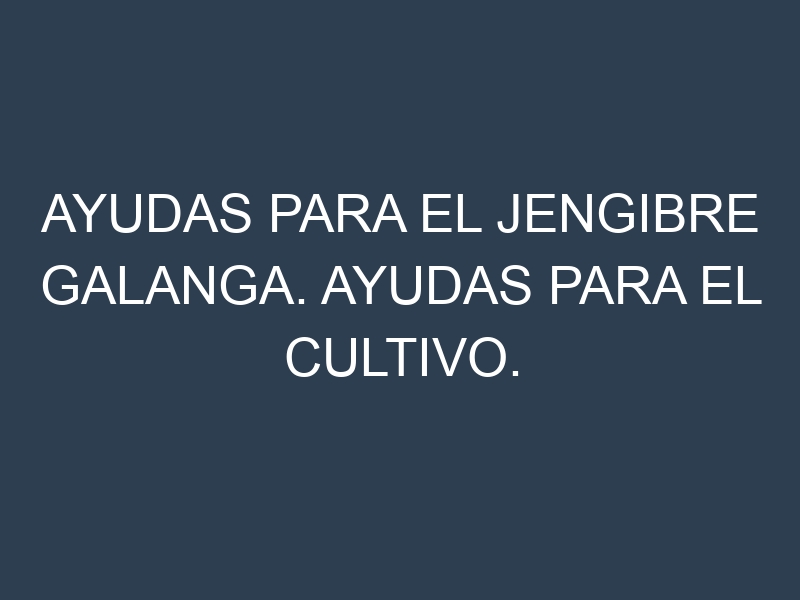 Ayudas para el Jengibre galanga. Ayudas para el cultivo. Subvenciones.