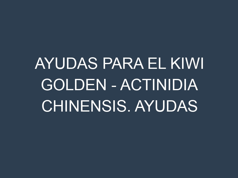 Ayudas para el Kiwi Golden – Actinidia chinensis. Ayudas para el cultivo. Subvenciones.