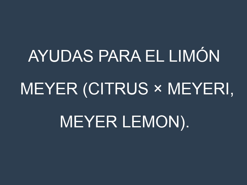 Ayudas para el Limón Meyer (Citrus × meyeri, Meyer lemon). Ayudas para el cultivo. Subvenciones.