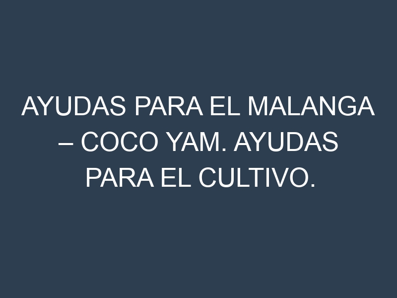 Ayudas para el Malanga – Coco yam. Ayudas para el cultivo. Subvenciones.