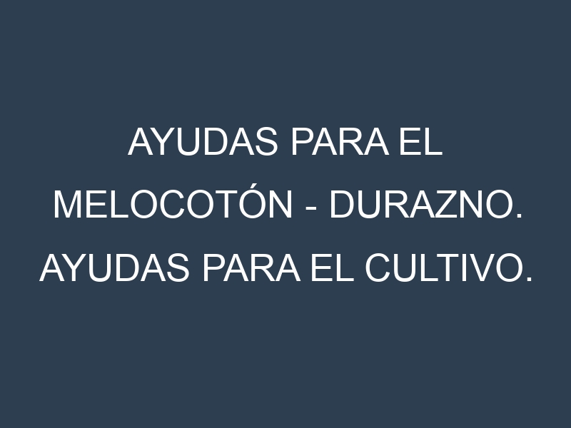 Ayudas para el Melocotón – Durazno. Ayudas para el cultivo. Subvenciones.