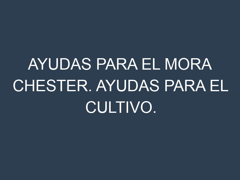 Ayudas para el Mora Chester. Ayudas para el cultivo. Subvenciones.