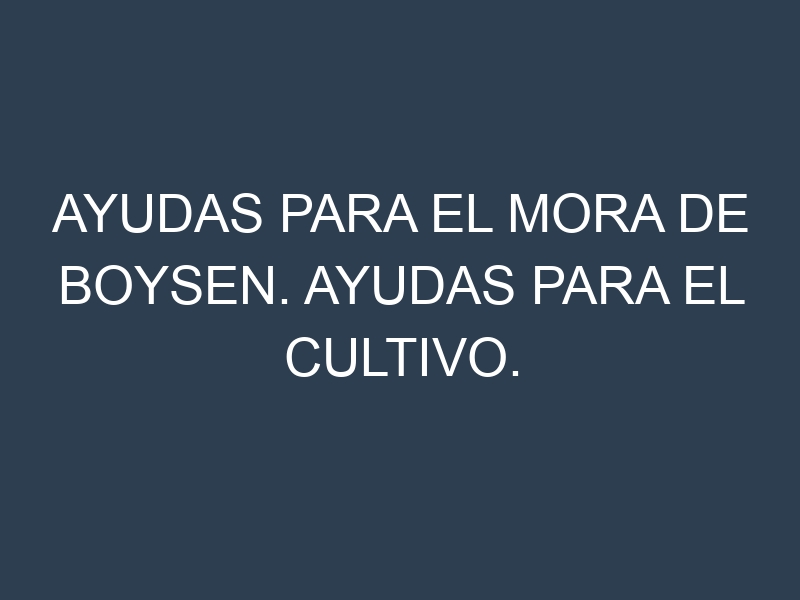Ayudas para el Mora de Boysen. Ayudas para el cultivo. Subvenciones.