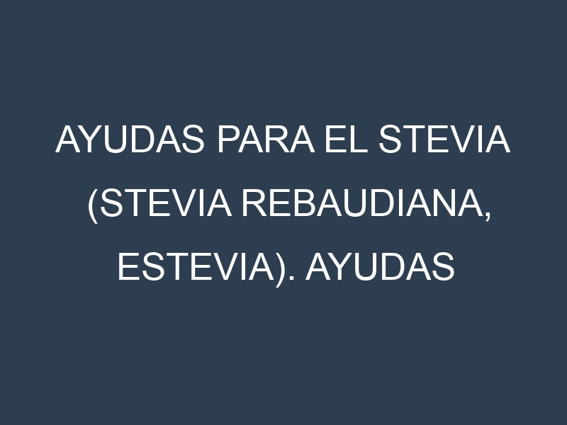Ayudas para el Stevia (Stevia rebaudiana, estevia). Ayudas para el cultivo. Subvenciones.