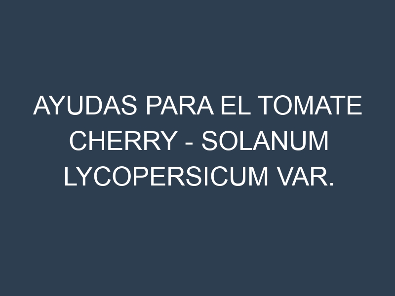 Ayudas para el Tomate cherry – Solanum lycopersicum var. cerasiforme. Ayudas para el cultivo. Subvenciones.