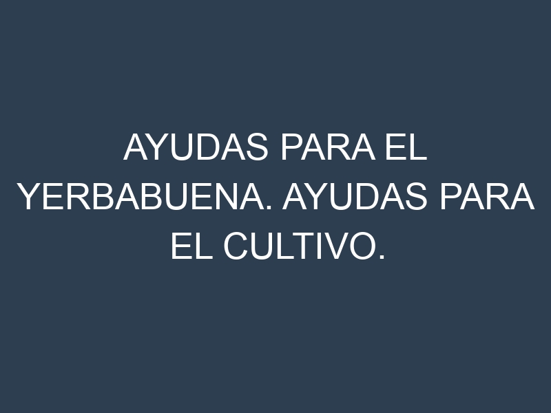 Ayudas para el Yerbabuena. Ayudas para el cultivo. Subvenciones.