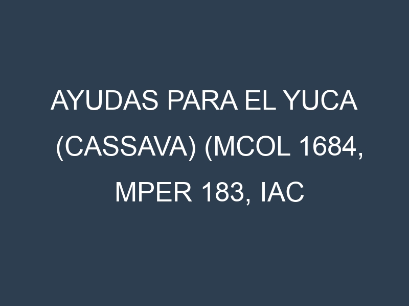 Ayudas para el Yuca (cassava) (MCol 1684, MPer 183, IAC 576-70, MTAI-8, MBra 12). Ayudas para el cultivo. Subvenciones.