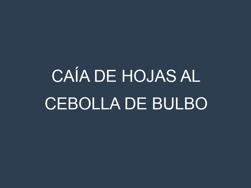Caía de hojas al Cebolla de bulbo