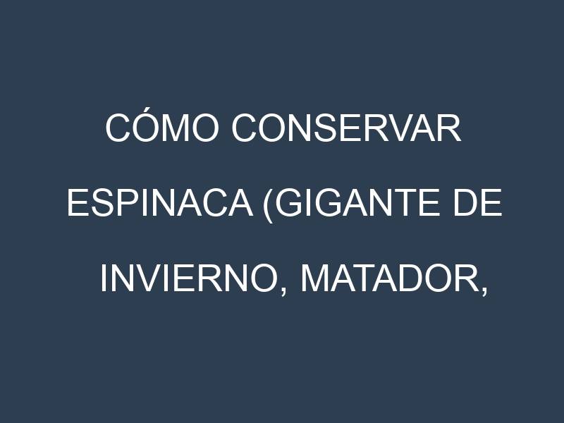 Cómo conservar Espinaca (Gigante de invierno, Matador, Bloomsdale, Viroflay).