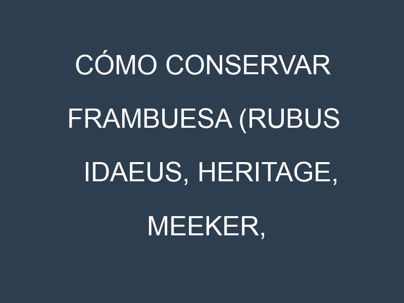 Cómo conservar Frambuesa (Rubus idaeus, Heritage, Meeker, Tulameen).