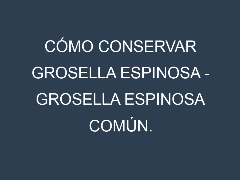 Cómo conservar Grosella espinosa – Grosella espinosa común.