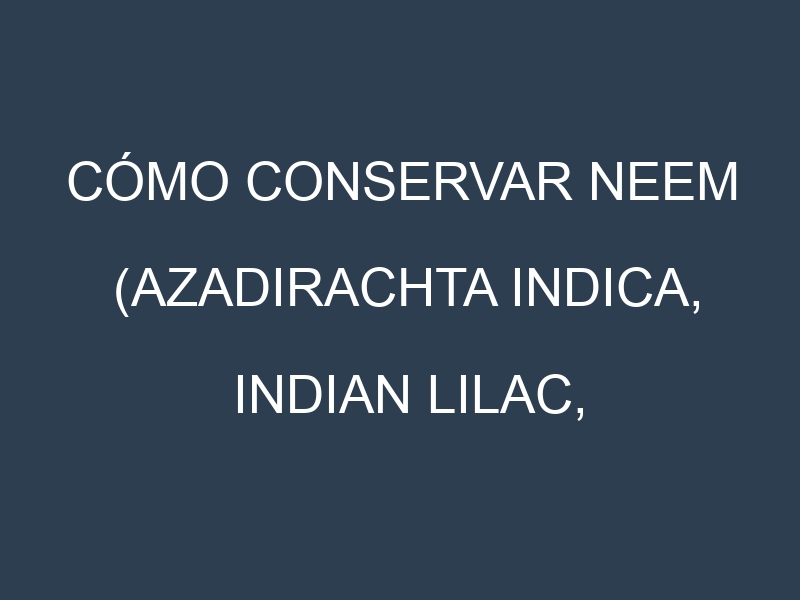 Cómo conservar Neem (Azadirachta indica, Indian lilac, Nimtree).