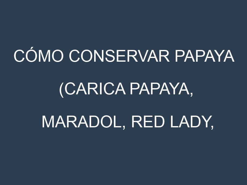 Cómo conservar Papaya (Carica papaya, Maradol, Red Lady, Solo).