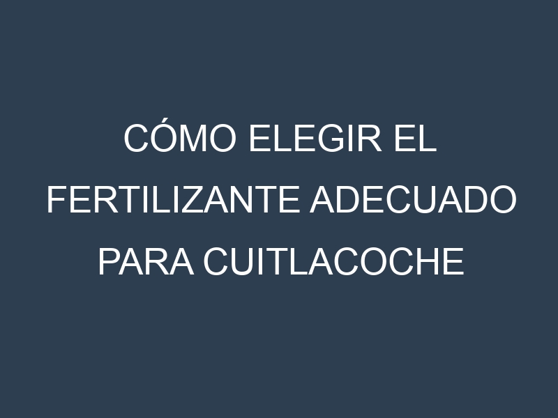 Cómo Elegir el Fertilizante Adecuado para Cuitlacoche (hongo del maíz)
