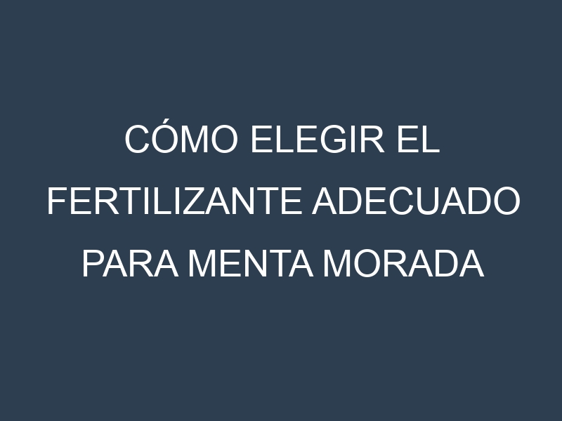 Cómo Elegir el Fertilizante Adecuado para Menta morada